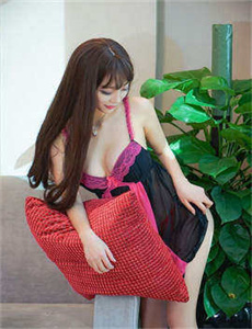 征服孙红雷版全集免费观看